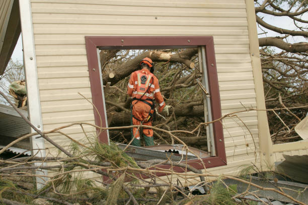 Best Tree Cabling and Bracing  in Antlers, OK